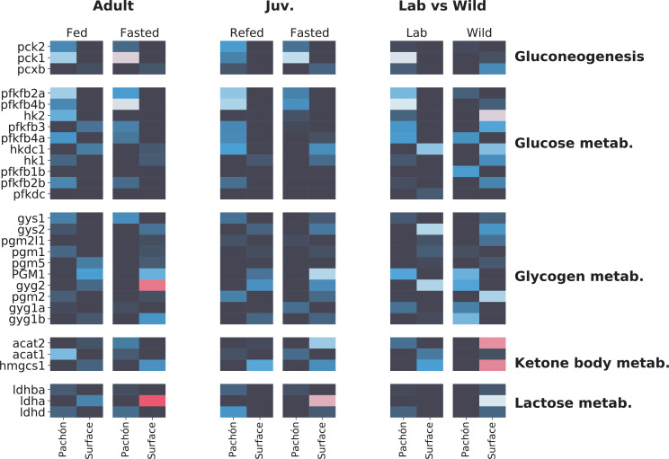 Figure 5—figure supplement 2.