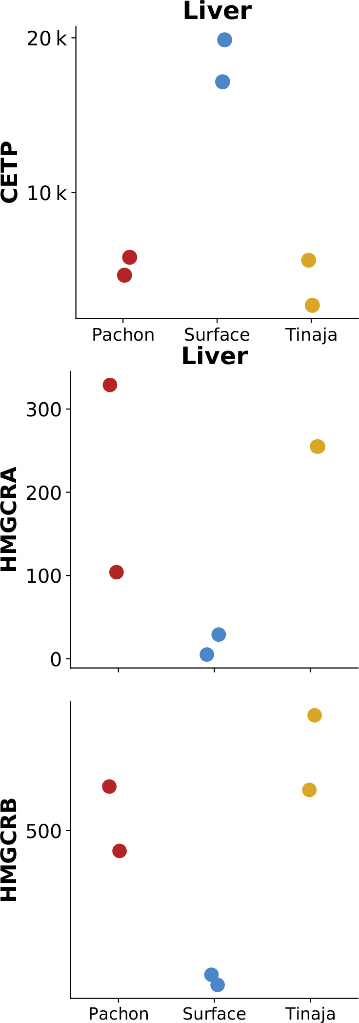 Figure 7—figure supplement 5.