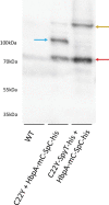 Fig. 8.