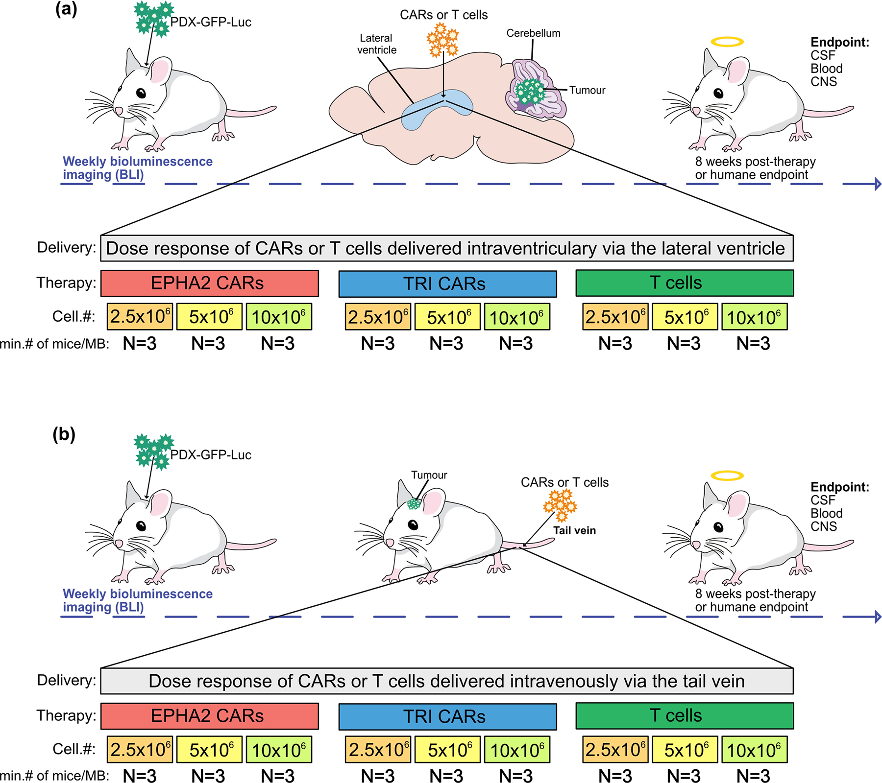 Extended Figure 7.