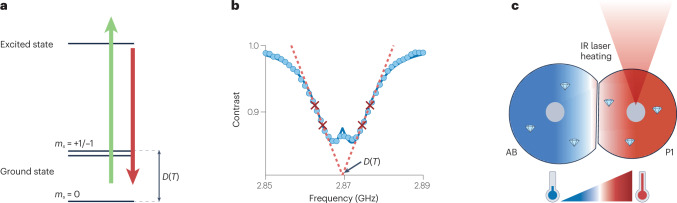 Fig. 6