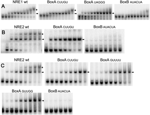 FIGURE 4.