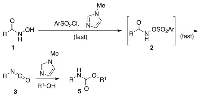 Scheme 2