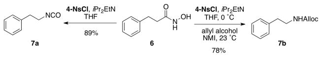 Scheme 3