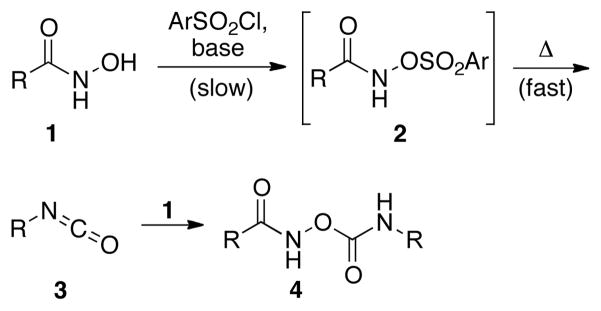 Scheme 1