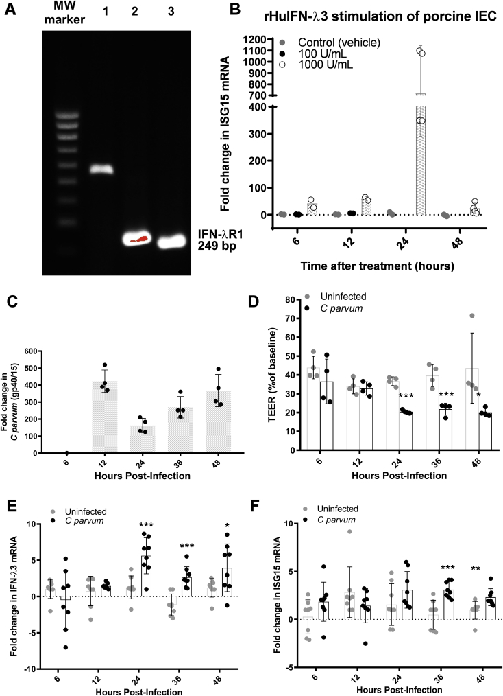 Figure 4