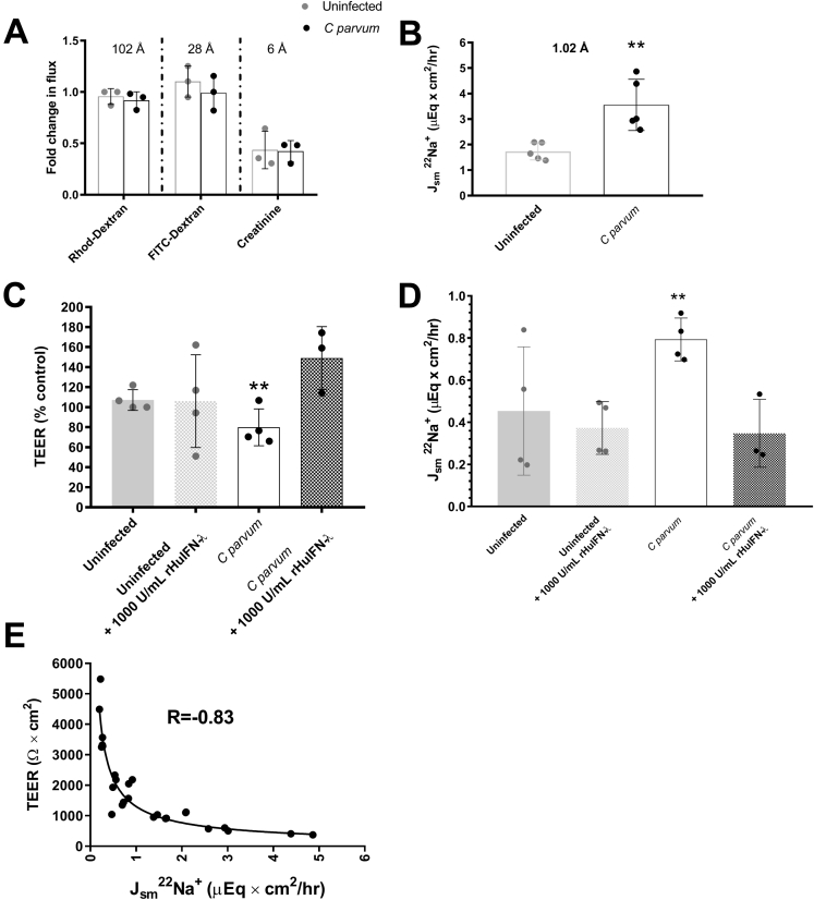 Figure 7