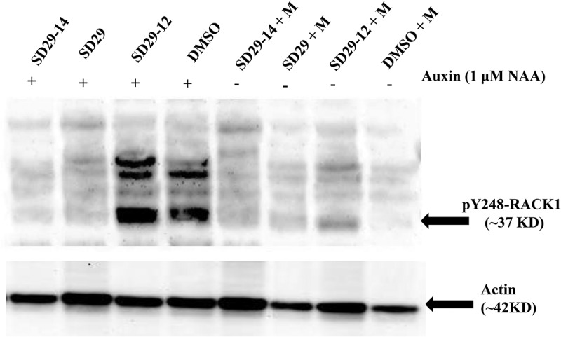 Figure 3.