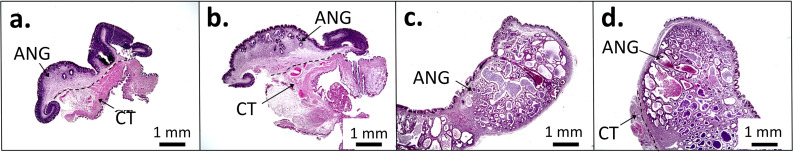 Fig. 1.