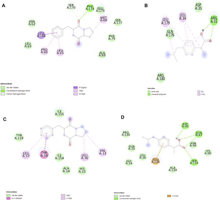 FIGURE 12