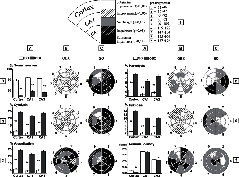 Fig.3