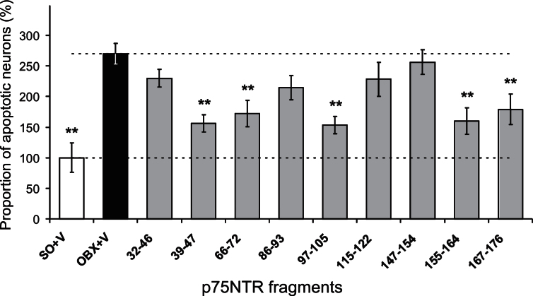 Fig.2