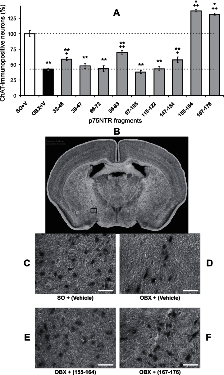 Fig.1