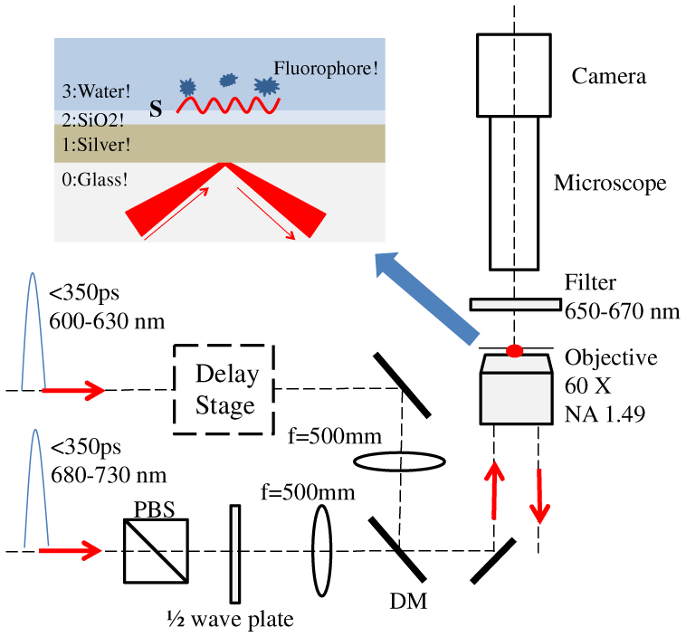 Fig. 2