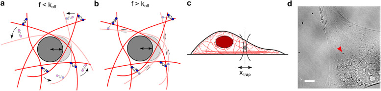 FIGURE 1: