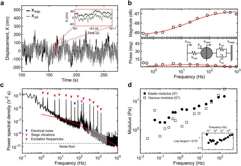 FIGURE 2: