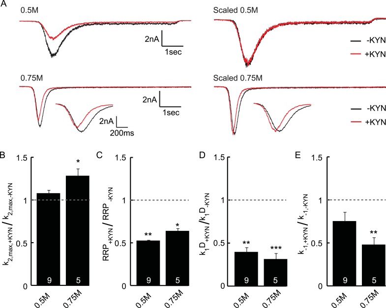 Figure 3—figure supplement 3.