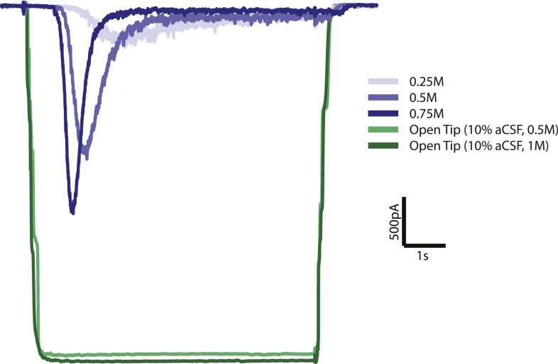 Figure 2—figure supplement 2.