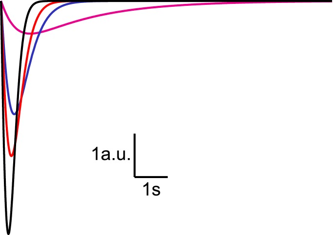 Figure 2—figure supplement 1.