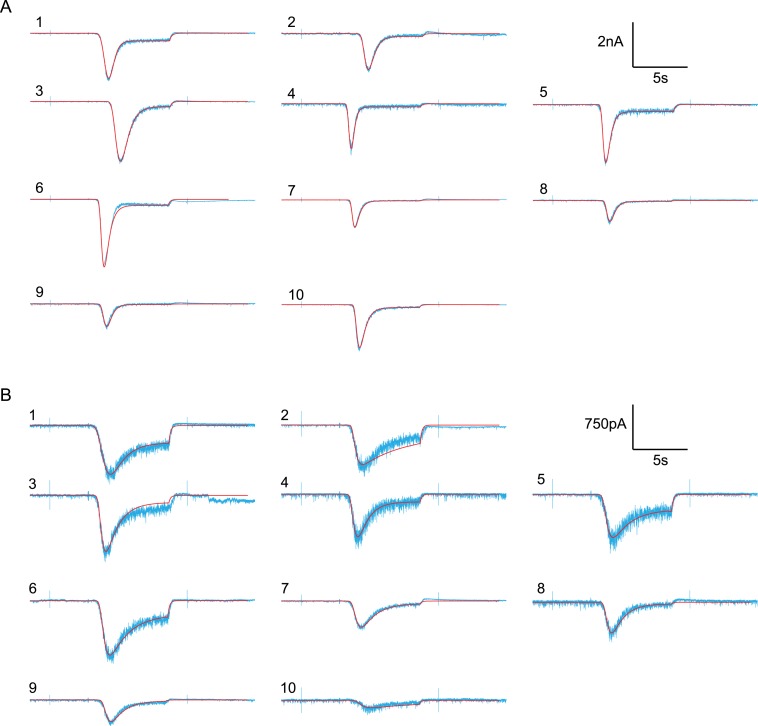 Figure 6—figure supplement 2.