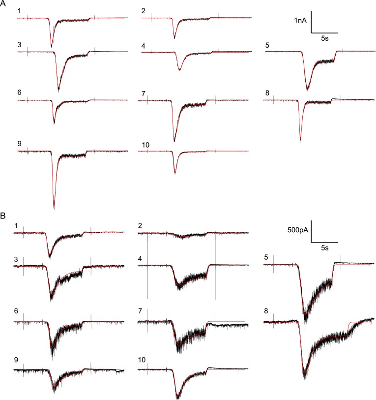 Figure 6—figure supplement 1.