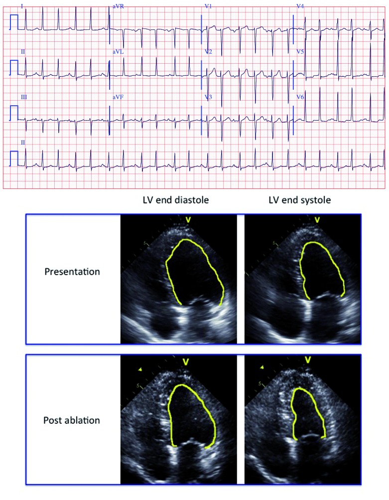 Figure 3: