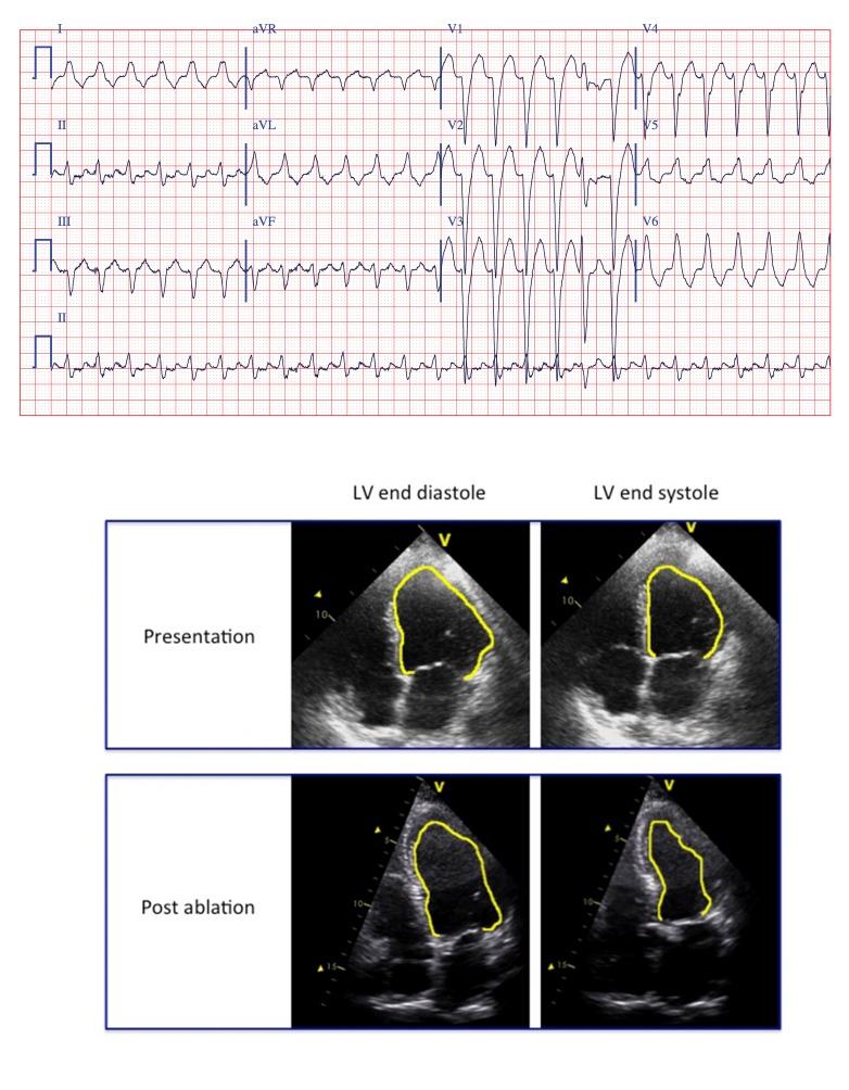 Figure 1: