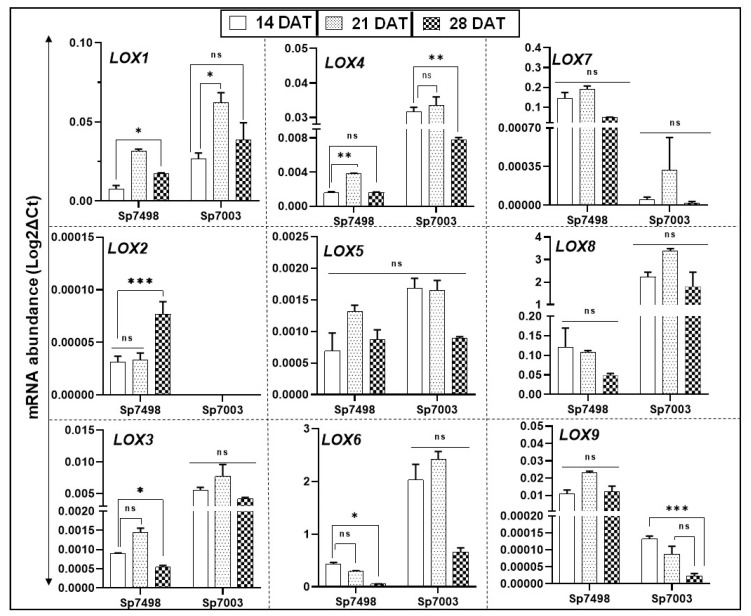 Figure 5