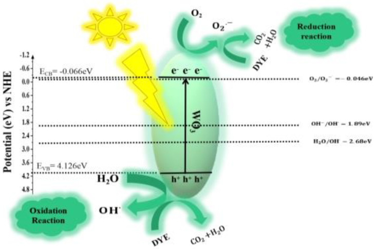 Figure 12