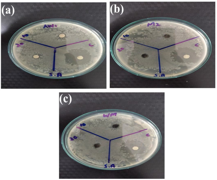 Figure 13