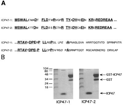 FIG. 1