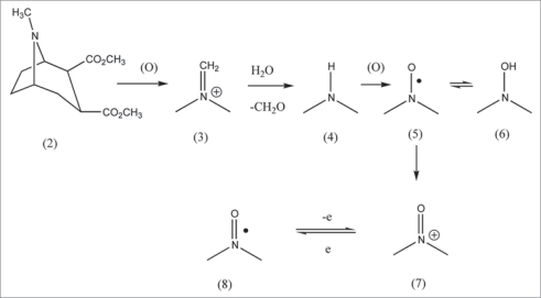 Scheme 1