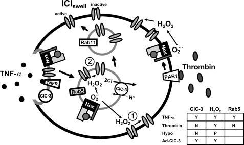 FIGURE 9.