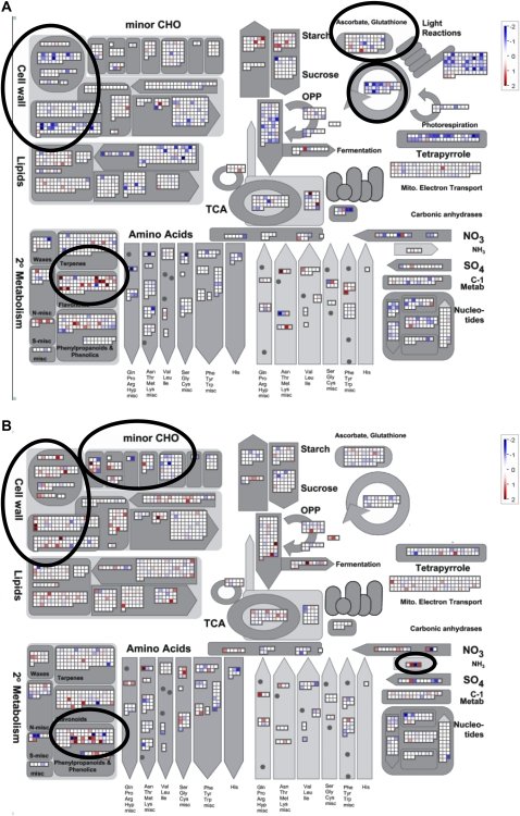 Figure 5.