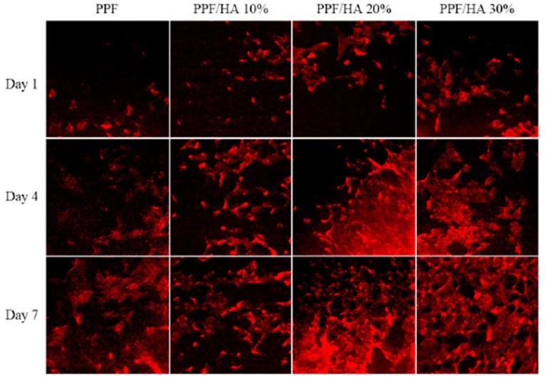 Figure 14