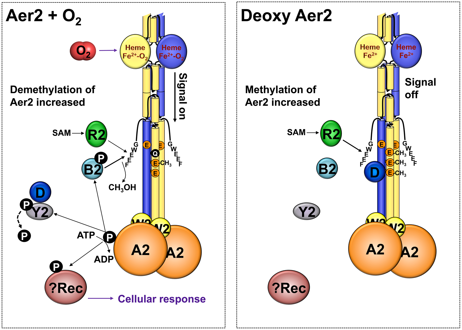 Fig. 8.