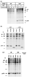FIG. 7