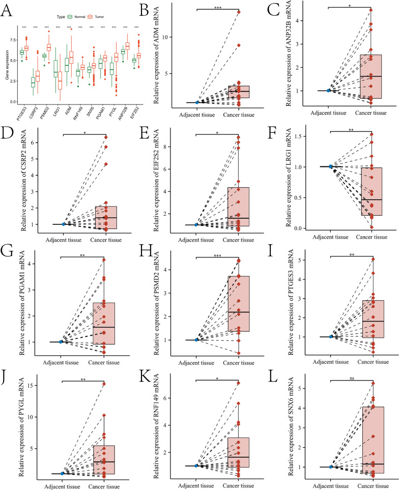 Fig. 10