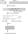 FIG. 1.