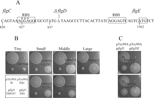 FIG. 5.