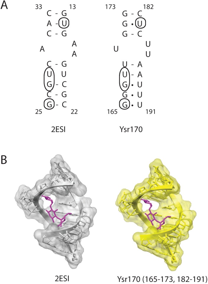 Fig 7