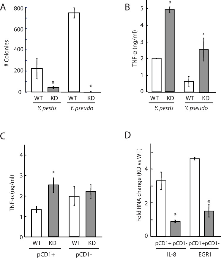 Fig 4