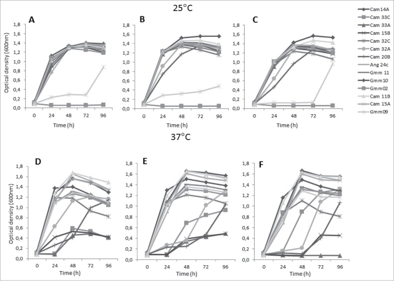 Figure 5.