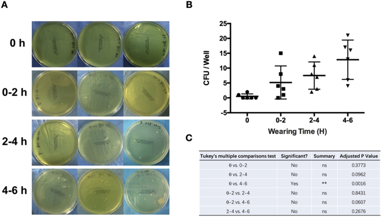 Figure 2