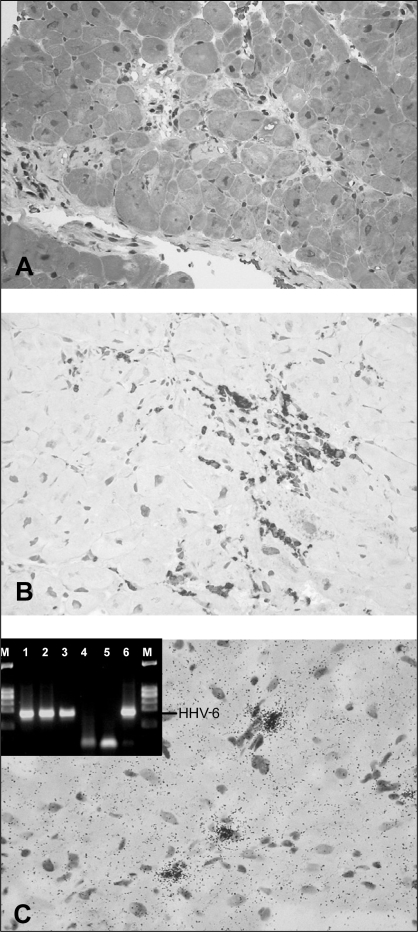 Figure 2)