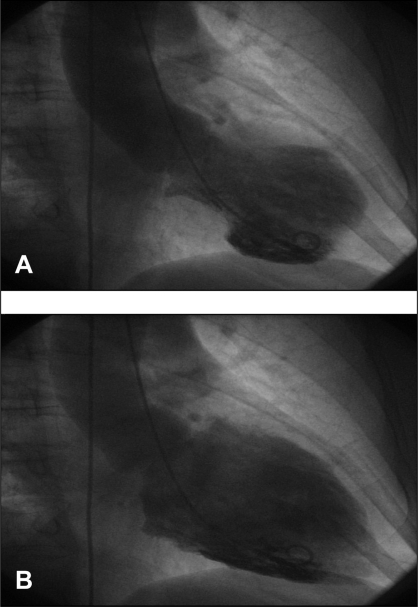 Figure 1)