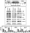 Fig 8