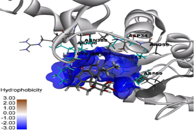 Figure 12