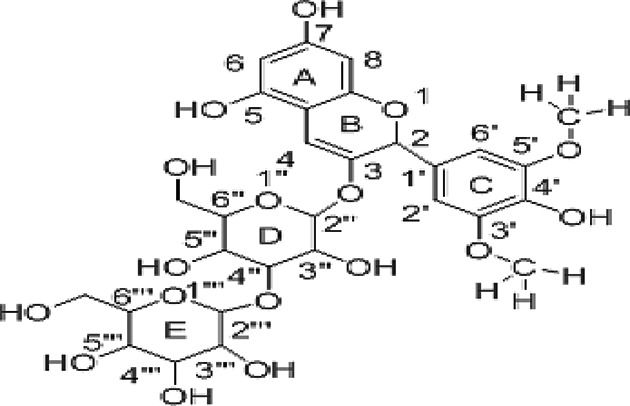 Figure 11