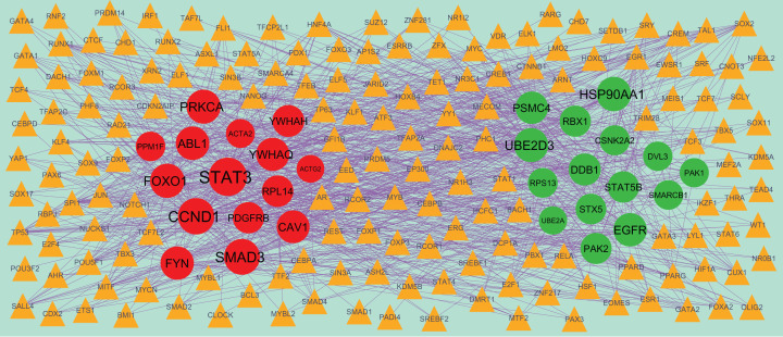 Figure 6